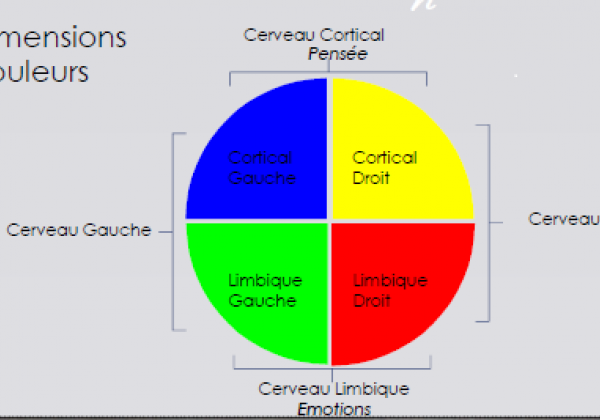 outil HBDI ou la communication en 4 couleurs.