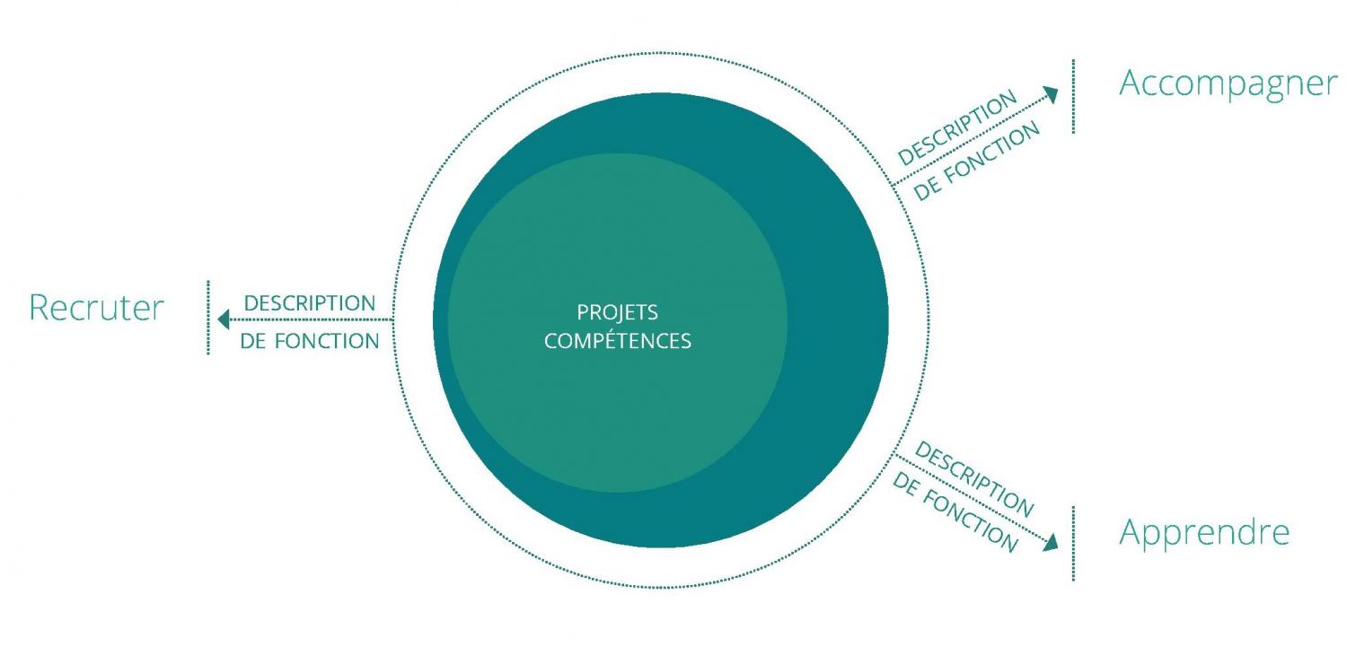 Ce visuel représente les trois portes d’entrée principales de la gestion des compétences, selon competentia. Un projet Compétences, au centre, est relié aux trois pôles : Recruter, Accompagner et Apprendre. La description de fonction constitue le lien entre chacune de ces trois portes d’entrée et le projet Compétence central.